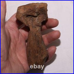 Theropod Metacarpal Hand Bone DINOSAUR FOSSIL Hell Creek Formation Cretaceous