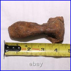 Theropod Metacarpal Hand Bone DINOSAUR FOSSIL Hell Creek Formation Cretaceous