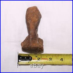 Theropod Metacarpal Hand Bone DINOSAUR FOSSIL Hell Creek Formation Cretaceous