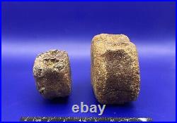 Two Edmontosaurus Vertebrae Genuine Dinosaur Bone Fossils