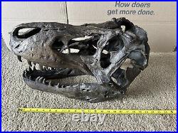 Tyrannosaurus Large (19x13x12) Skull Dinosaur Bone Head Model