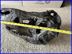 Tyrannosaurus Large (19x13x12) Skull Dinosaur Bone Head Model