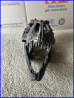 Tyrannosaurus Large (19x13x12) Skull Dinosaur Bone Head Model