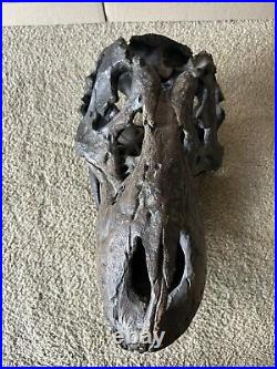 Tyrannosaurus Large (19x13x12) Skull Dinosaur Bone Head Model