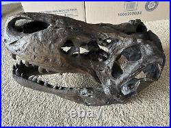 Tyrannosaurus Large (19x13x12) Skull Dinosaur Bone Head Model