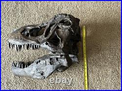 Tyrannosaurus Large (19x13x12) Skull Dinosaur Bone Head Model