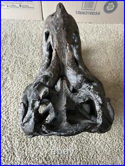 Tyrannosaurus Large (19x13x12) Skull Dinosaur Bone Head Model