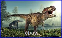 Tyrannosaurus Rex Tooth Piece Partial Real Fossil T-rex Dinosaur Relic Bone Fang