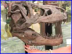 Tyrannosaurus Skull Pre Historic Dinosaur Bone Big Sculpture Head Trex Large New