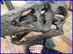 Tyrannosaurus Skull Pre Historic Dinosaur Bone Big Sculpture Head Trex Large New