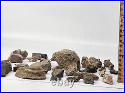 Unidentified 1.4 lb Two Medicine Dinosaur Bone Bulk Lot Teton Co, MT 36 Pc