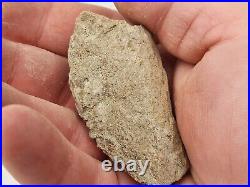 Unidentified 1.4 lb Two Medicine Dinosaur Bone Bulk Lot Teton Co, MT 36 Pc