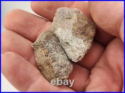 Unidentified 1.4 lb Two Medicine Dinosaur Bone Bulk Lot Teton Co, MT 36 Pc