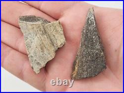 Unidentified 1.4 lb Two Medicine Dinosaur Bone Bulk Lot Teton Co, MT 36 Pc