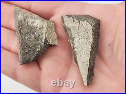 Unidentified 1.4 lb Two Medicine Dinosaur Bone Bulk Lot Teton Co, MT 36 Pc