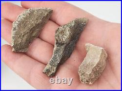 Unidentified 1.4 lb Two Medicine Dinosaur Bone Bulk Lot Teton Co, MT 36 Pc