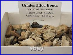 Unidentified 59 Fossil Bone Bulk Lot Hell Creek Fm. Wibaux Co, MT