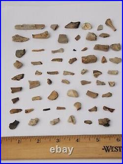 Unidentified 59 Fossil Bone Bulk Lot Hell Creek Fm. Wibaux Co, MT