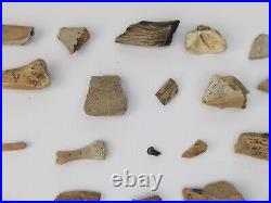 Unidentified 59 Fossil Bone Bulk Lot Hell Creek Fm. Wibaux Co, MT