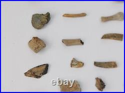 Unidentified 59 Fossil Bone Bulk Lot Hell Creek Fm. Wibaux Co, MT