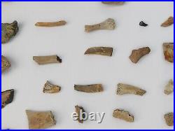 Unidentified 59 Fossil Bone Bulk Lot Hell Creek Fm. Wibaux Co, MT