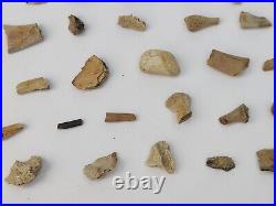 Unidentified 59 Fossil Bone Bulk Lot Hell Creek Fm. Wibaux Co, MT