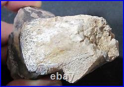 Utah Dinosaur (dino) Bone Foot Section Joint 6.4 oz Rare Fossil Specimen J2